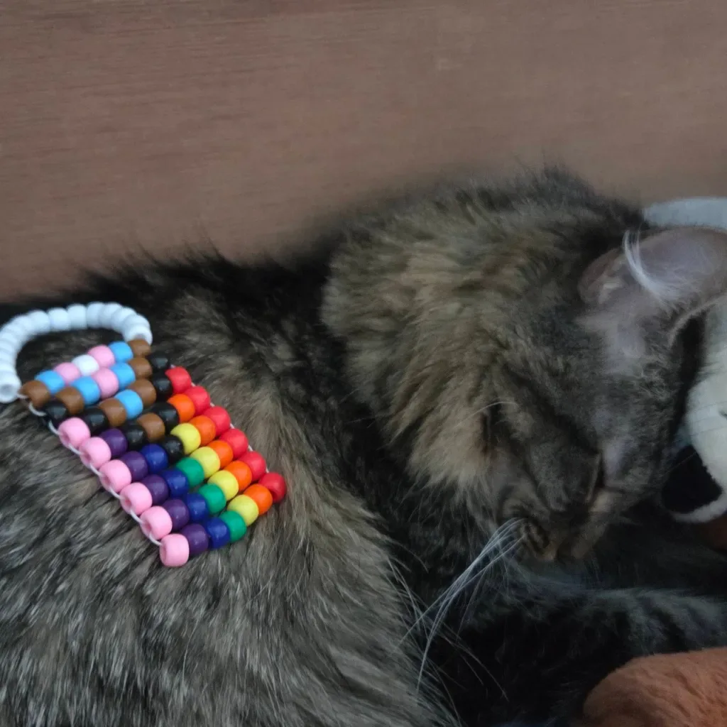 gay